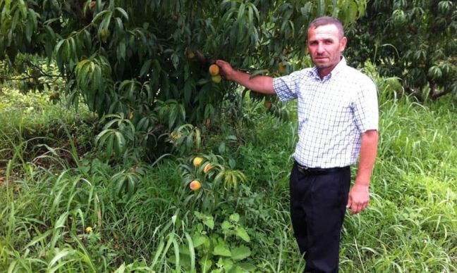 Αρμενία: αύξηση 11,6% σημείωσε η αγροτική παραγωγή το 2015