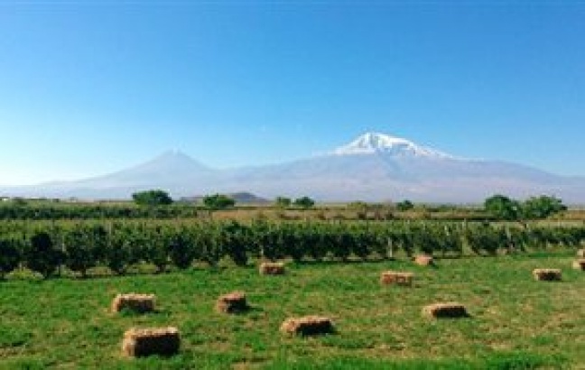Ευρωπαϊκά κονδύλια 25 εκατ. ευρώ για τον αγροτικό τομέα της Αρμενίας